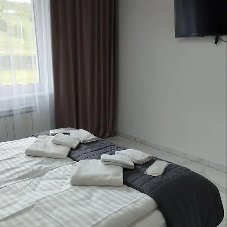 перлина карпат Apartment Skhidnytsia