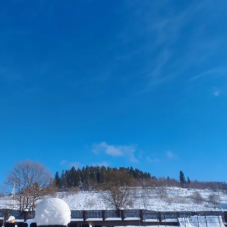 перлина карпат *