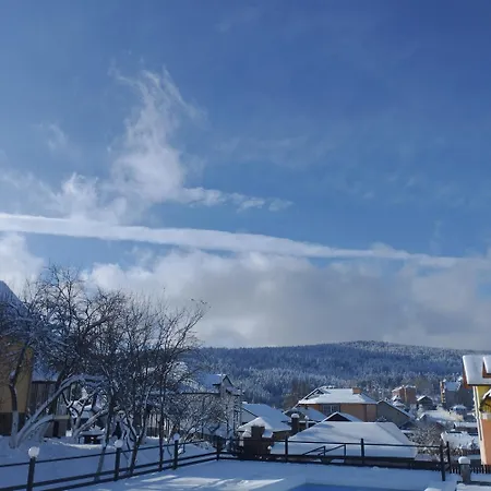 Apartment перлина карпат