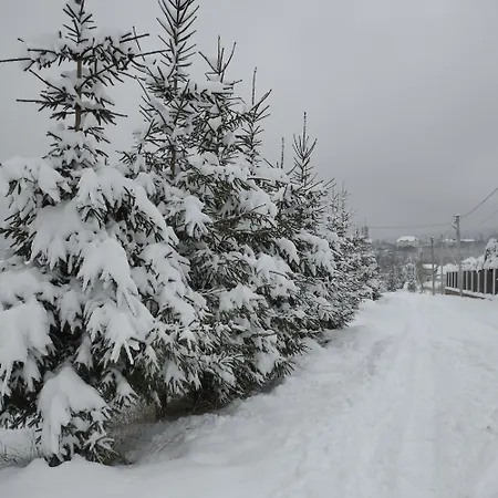 перлина карпат