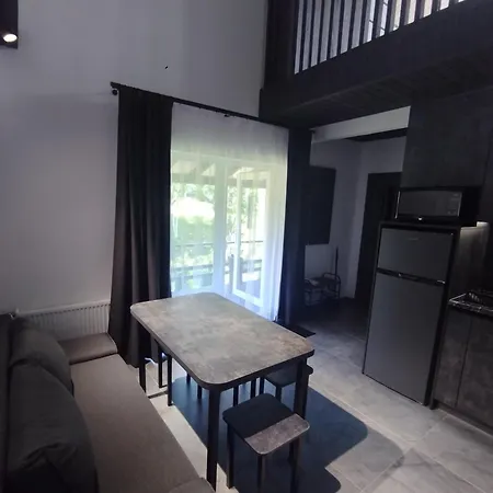 Apartamento перлина карпат *