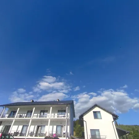 Apartment перлина карпат Skhidnytsia
